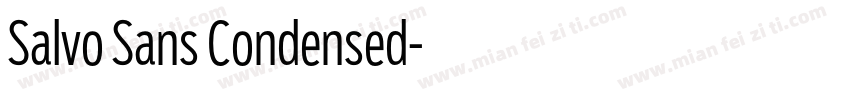 Salvo Sans Condensed字体转换